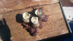 ファイル 2016-02-27 14 43 10