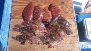 ファイル 2016-03-02 12 18 05