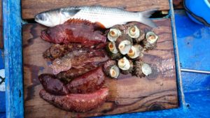 ファイル 2016-03-16 14 28 57