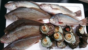 ファイル 2016-04-10 14 25 25