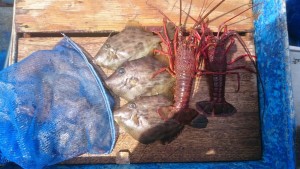 ファイル 2016-04-06 14 06 19